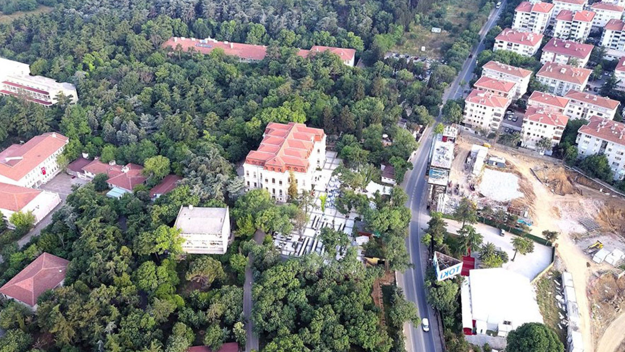 Validebağ korusunda katliama hazırlık. Tarihi koruyu beton denizine dönüştürecek projedeki oyun ortaya çıktı