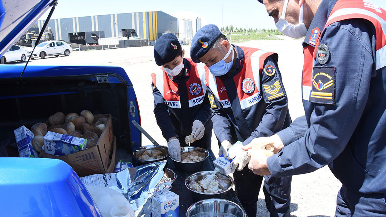 Jandarmadan sokak hayvanlarına 5 ton mama