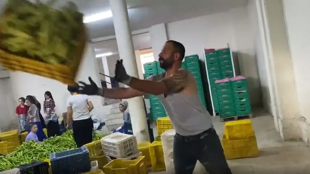 Rambo da kimmiş bu da sebze halinin Rambo’su