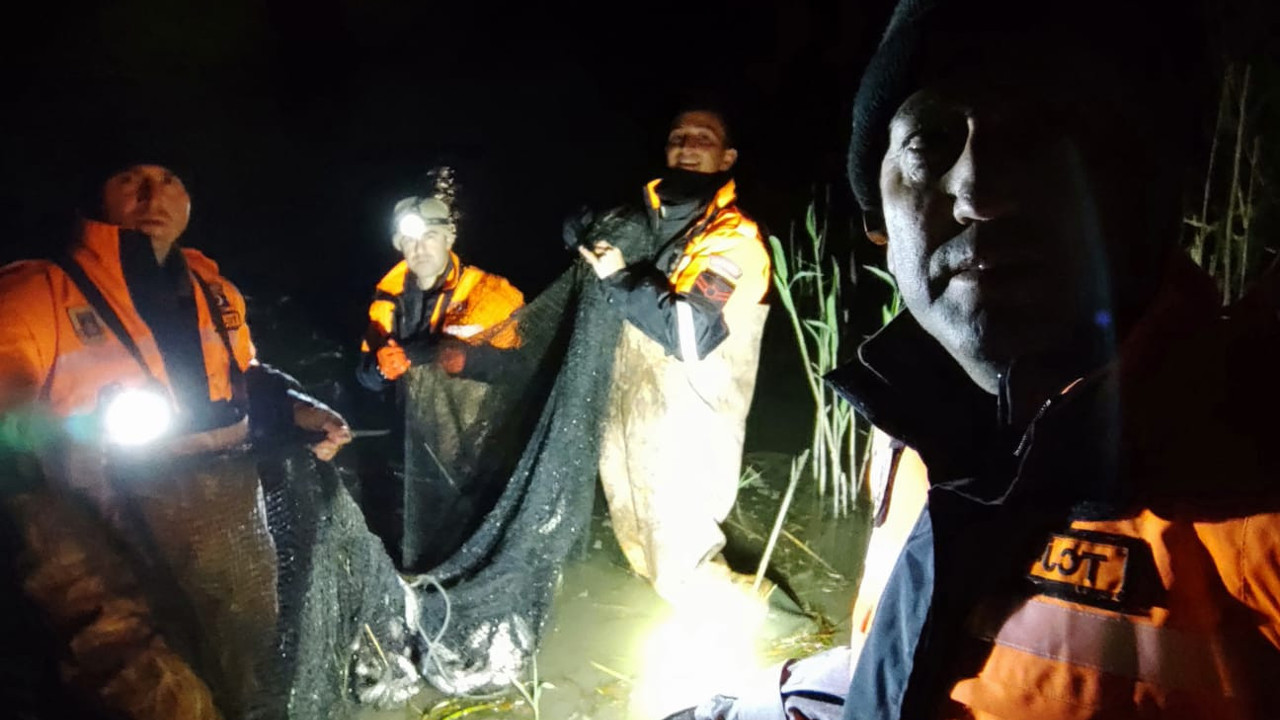 Tonlarca canlı balık suya bırakıldı