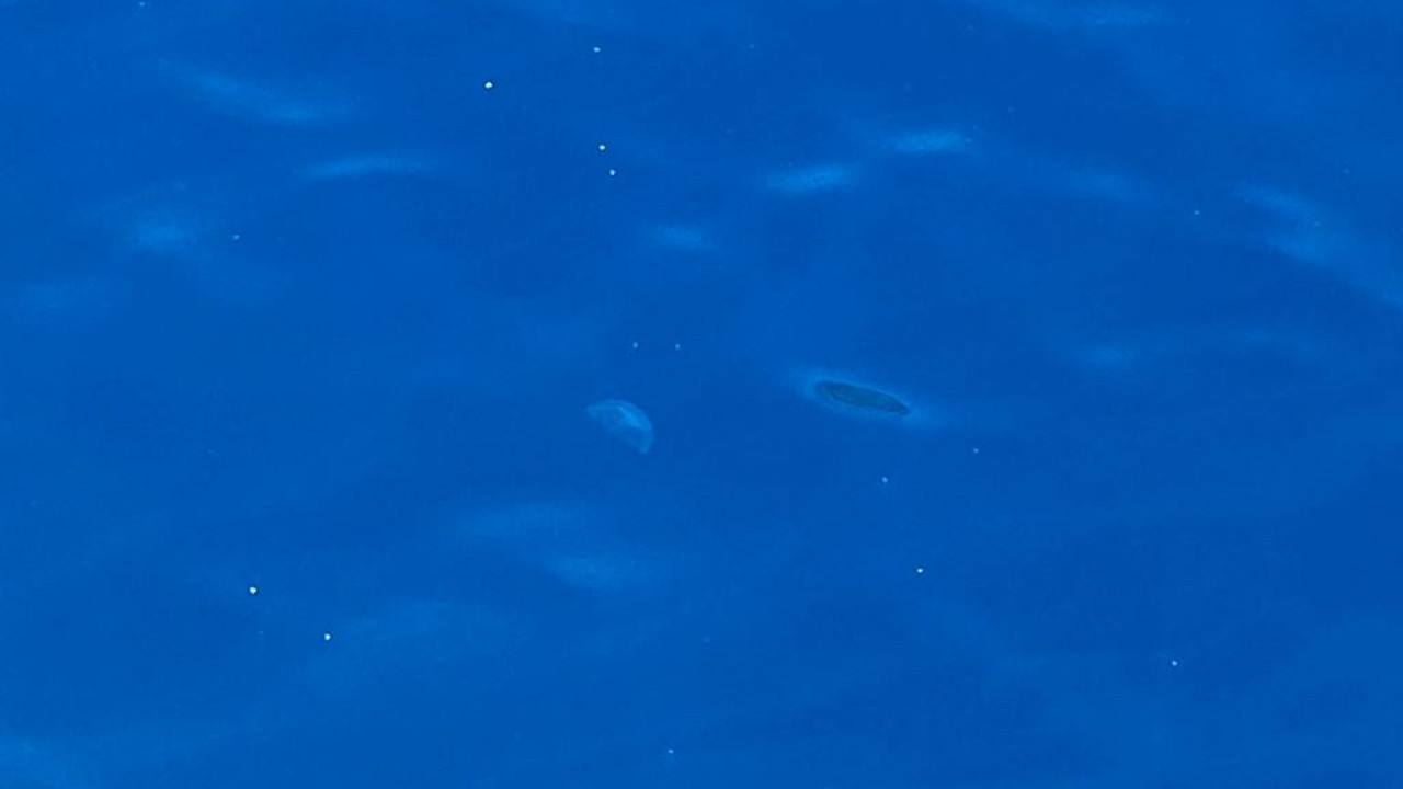 Türkiye'nin cennet koylarında korkutan görüntü