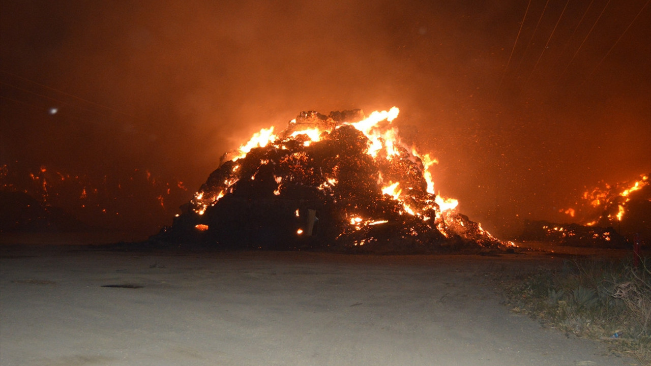 Biyokütle enerji santralinde şüpheli yangın. Kamera kayıtları incelenecek