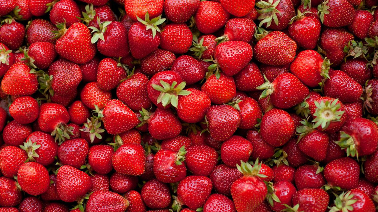 Türk çileği Rusya'ya sokulmadı. Zararlı kaşesini yedi