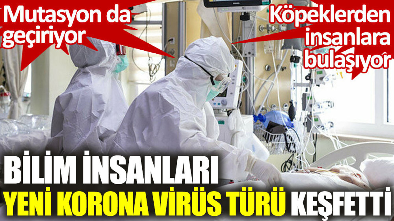 Mutasyon da geçiriyor. Köpeklerden insanlara bulaşıyor