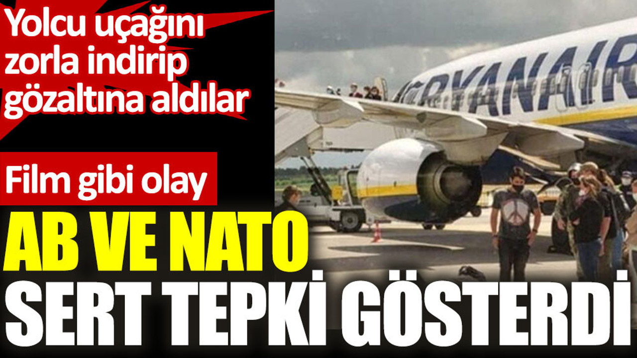 Yolcu uçağını zorla indirip gözaltına aldılar