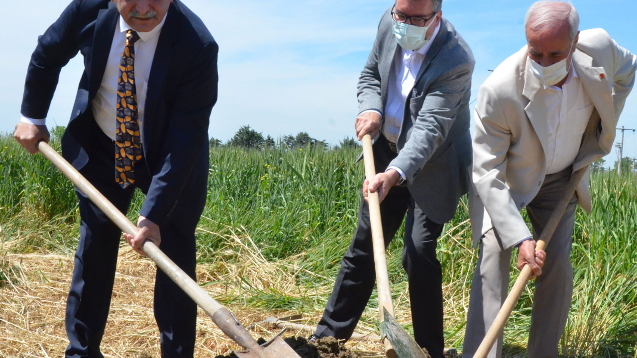 HDP için değil şehitler için fidan diktik