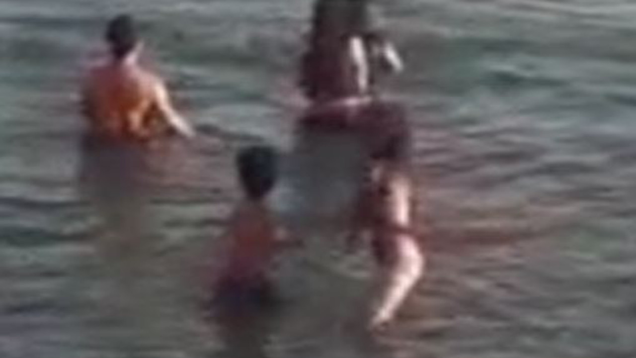 Kargalar denizde yüzen adama saldırdı