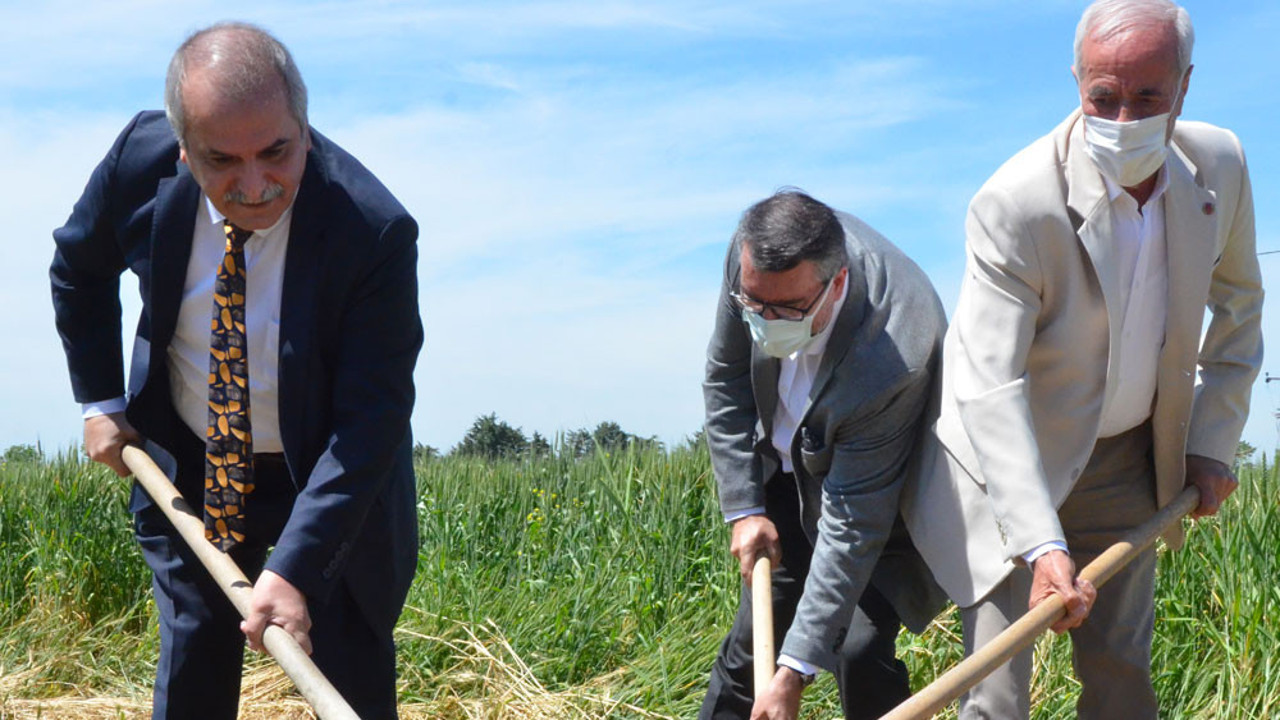 Ahmet Çelik’ten Ekrem İmamoğlu’na çağrı: Yaptığınız yanlışlığı düzeltin!