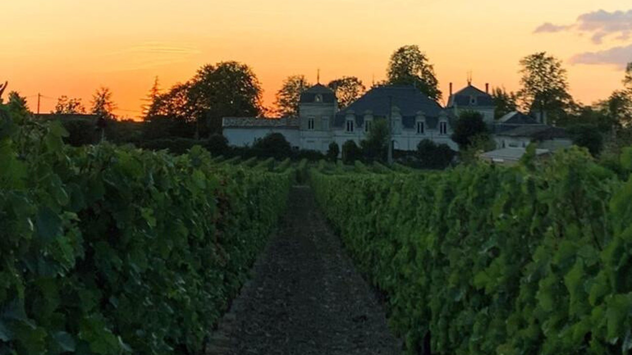 Dünyaca ünlü Türk ressam İsmail Acar'a hırsızlık şoku