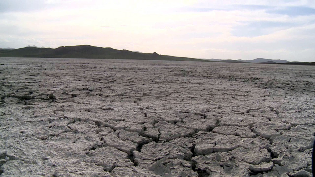 Kuş cenneti gölsüz kaldı