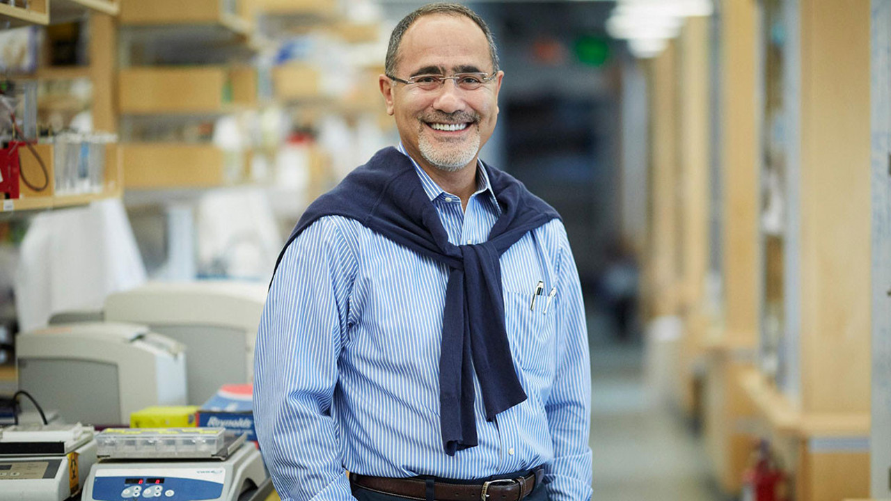 Harvardlı Türk profesör Türkiye’de salgının biteceği tarihi açıkladı