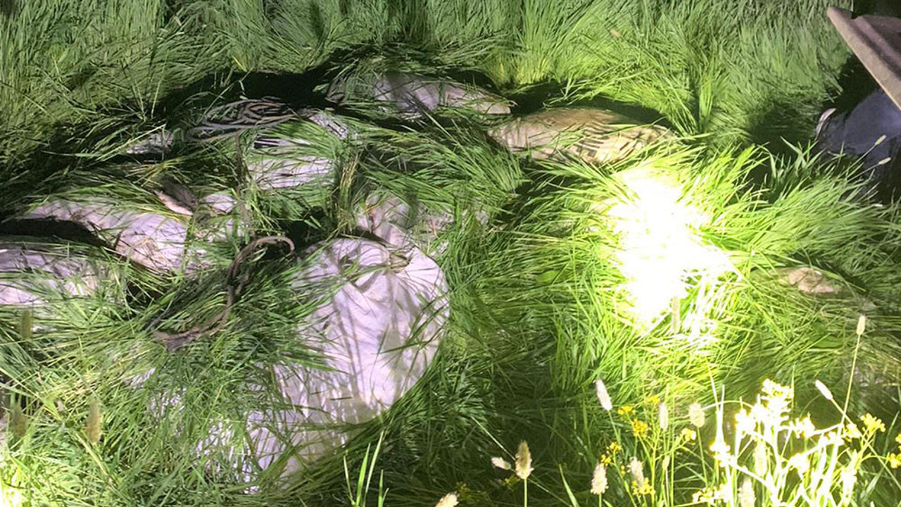 Kaçak avlanan çuvallarca inci kefali ele geçirildi