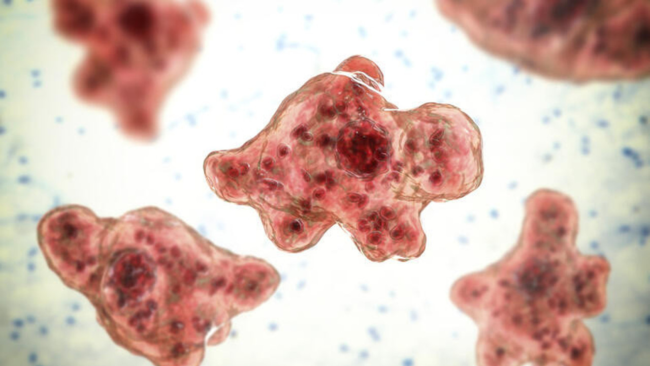 Yüksek ateşle başlıyor 3 günde öldürüyor