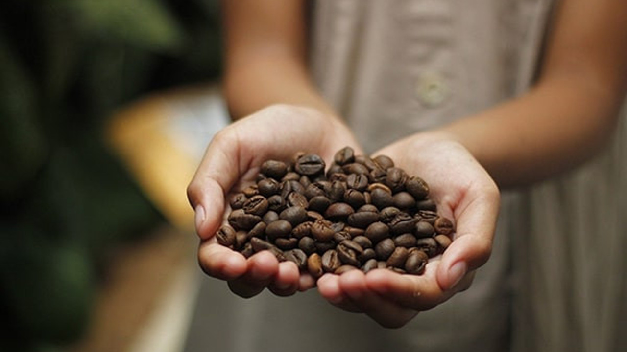 Kahve, 2016'dan bu yana en yüksek seviyeyi gördü