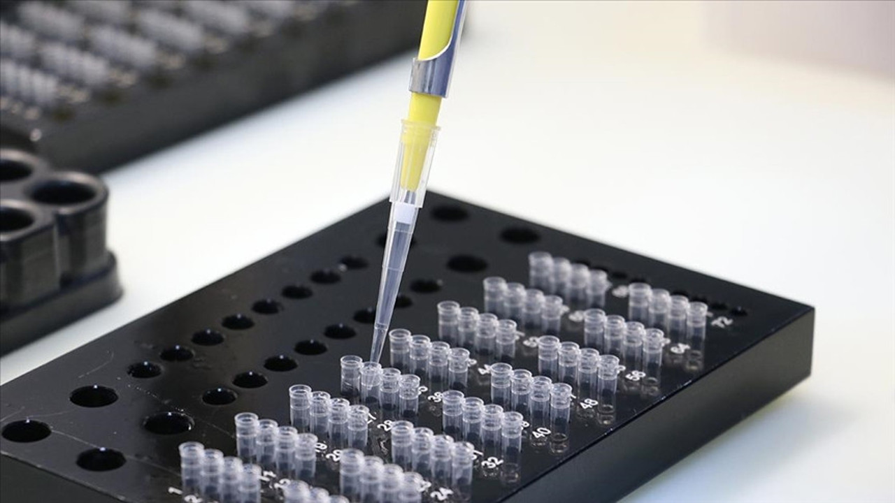 DSÖ açıkladı! Hepsinin adı değişti