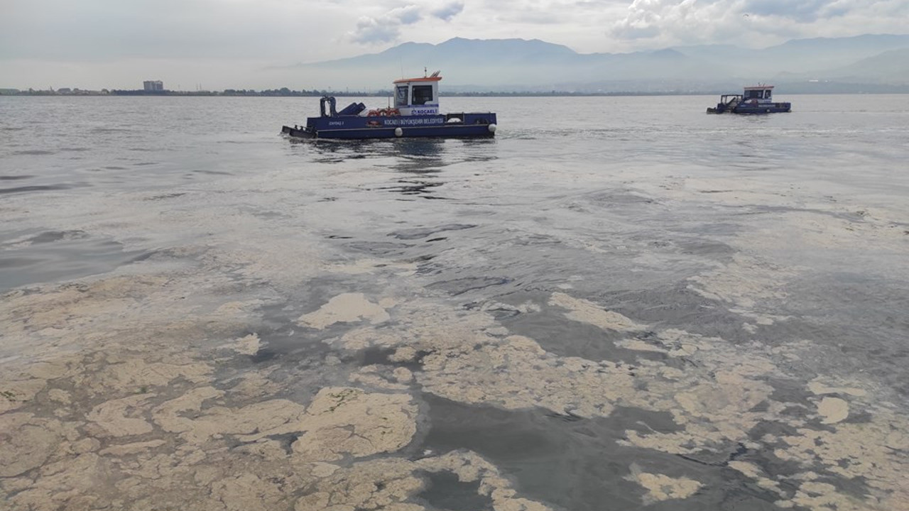 Marmara’yı saran 'deniz salyası' tehlikesi Meclis gündeminde