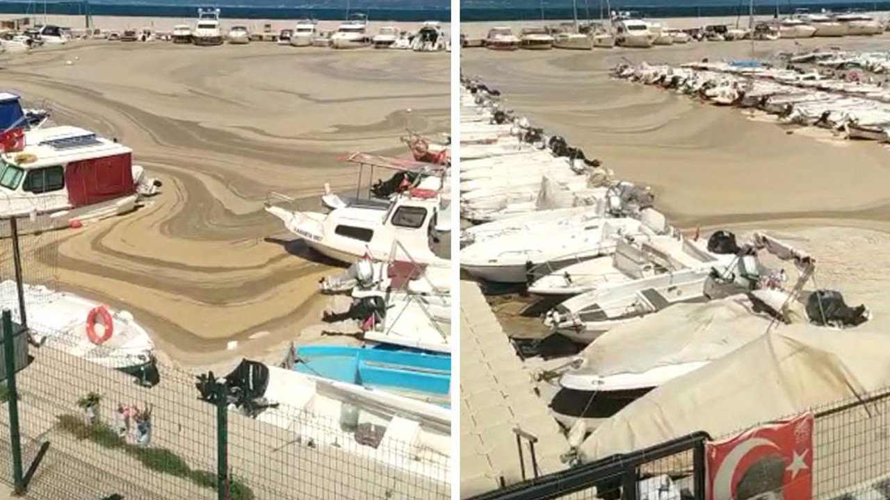 Salyalar bir yeri daha işgal etti. Marmara Denizi foseptik çukuruna döndü