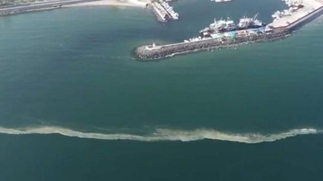 Balıkçılar deniz salyasından suya ağ atamıyor