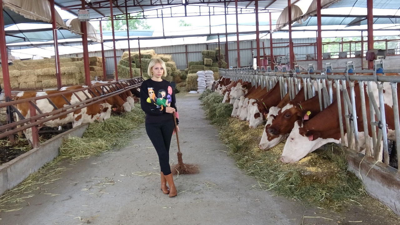 Spikerliği bıraktı çiftlik kurup hayvancılığa başladı