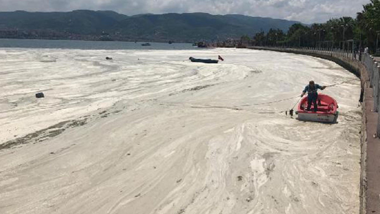 Prof. Dr. Öztürk: Haliç'i temizledik ama Marmara'yı temizleyemezsiniz
