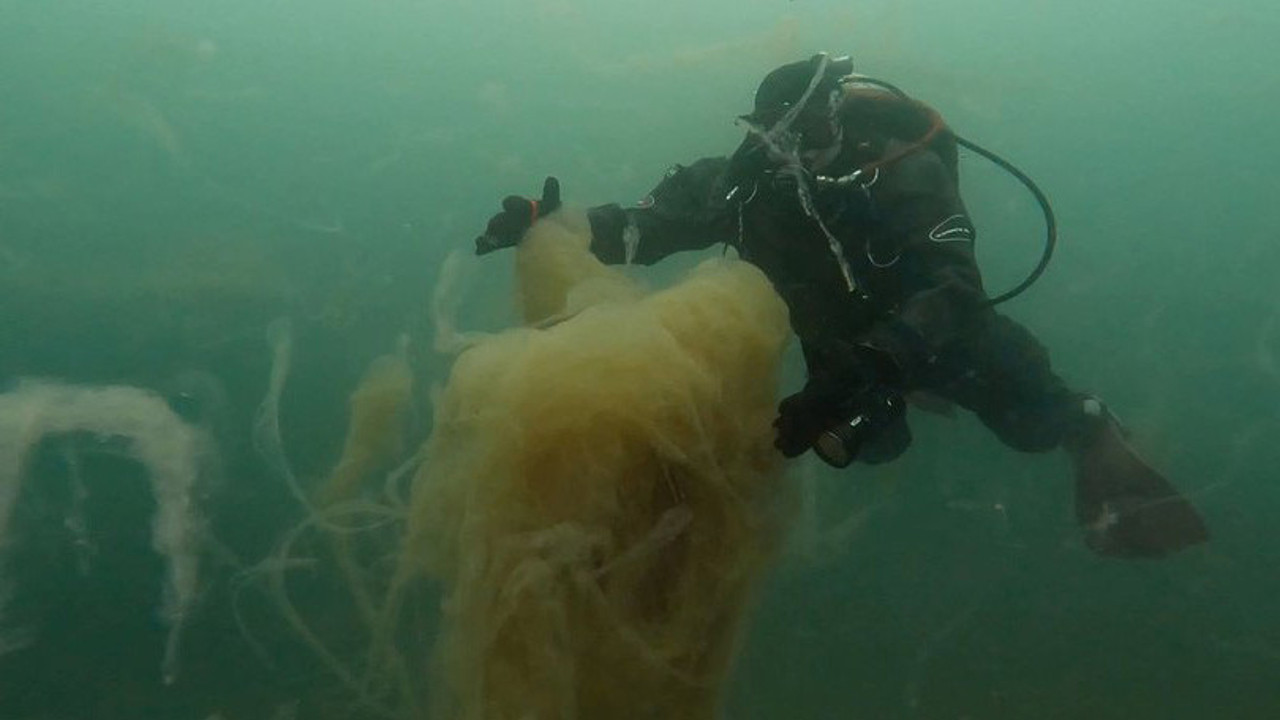 'Marmara'yı koma halinden 5-6 yılda çıkarabiliriz'