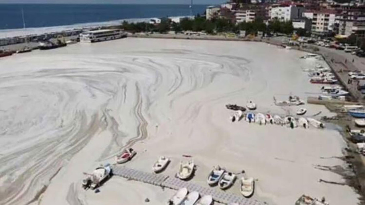 Profesör Salihoğlu Marmara’daki en kirli bölgeleri açıkladı