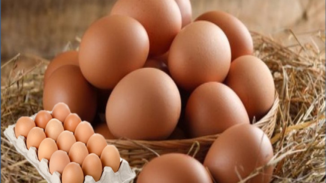 Organik yumurtayı ayırt etme yolları