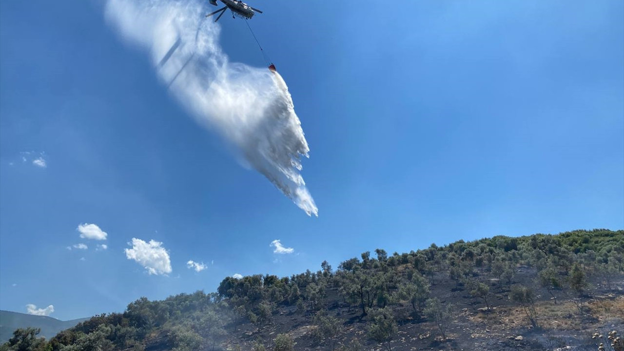 İzmir'de makilik alanda yangın