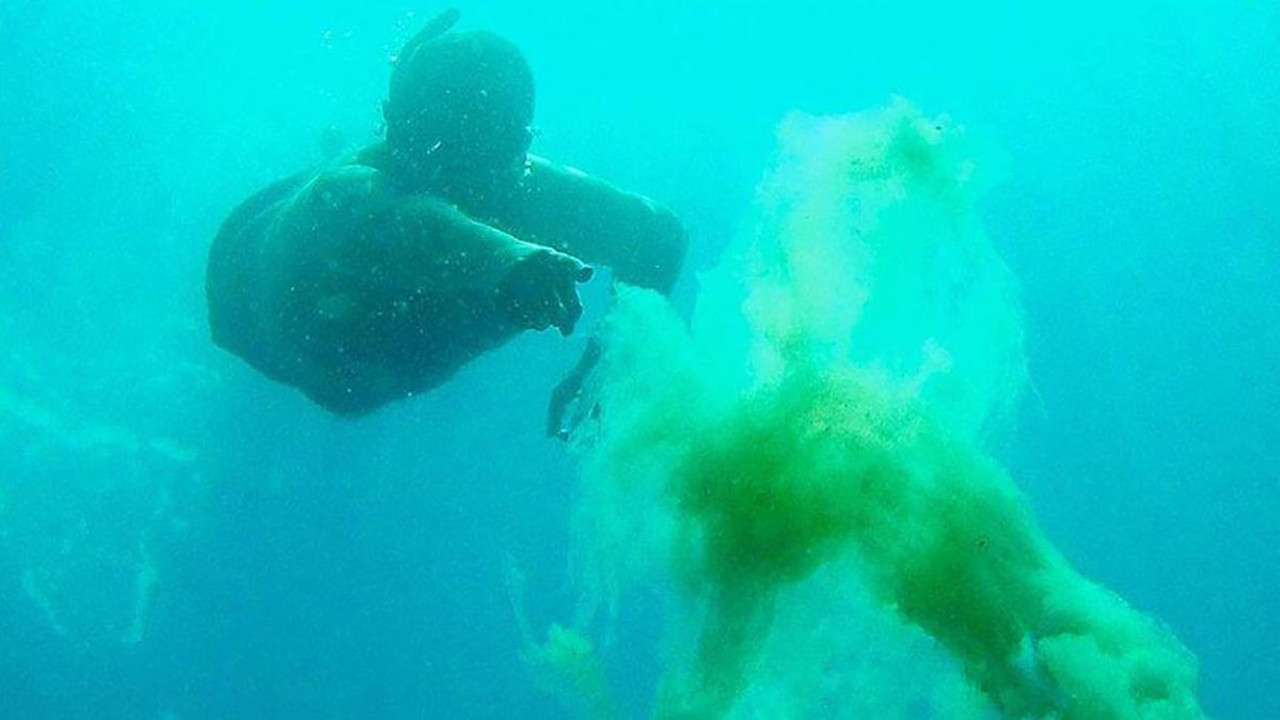 Ata Demirer Ege Denizi'ndeki deniz salyasını su altında fotoğrafladı