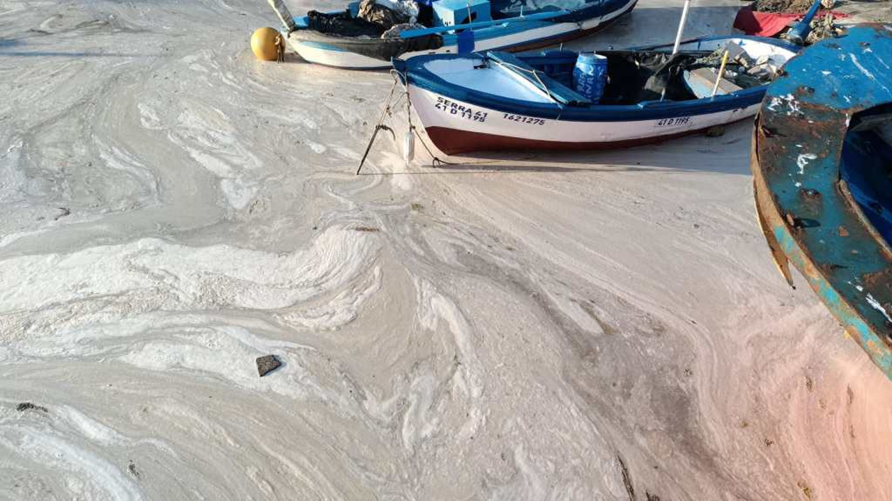 AKP'li belediye başkanından Marmara itirafı: Fosseptik gibi kullanmışız