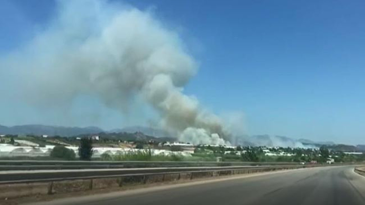 Antalya’nın Serik ilçesinde orman yangını