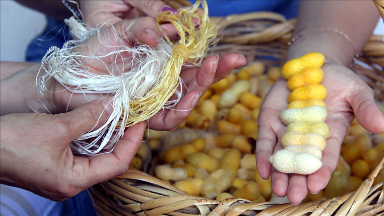 Hatay sarısı koruma altında