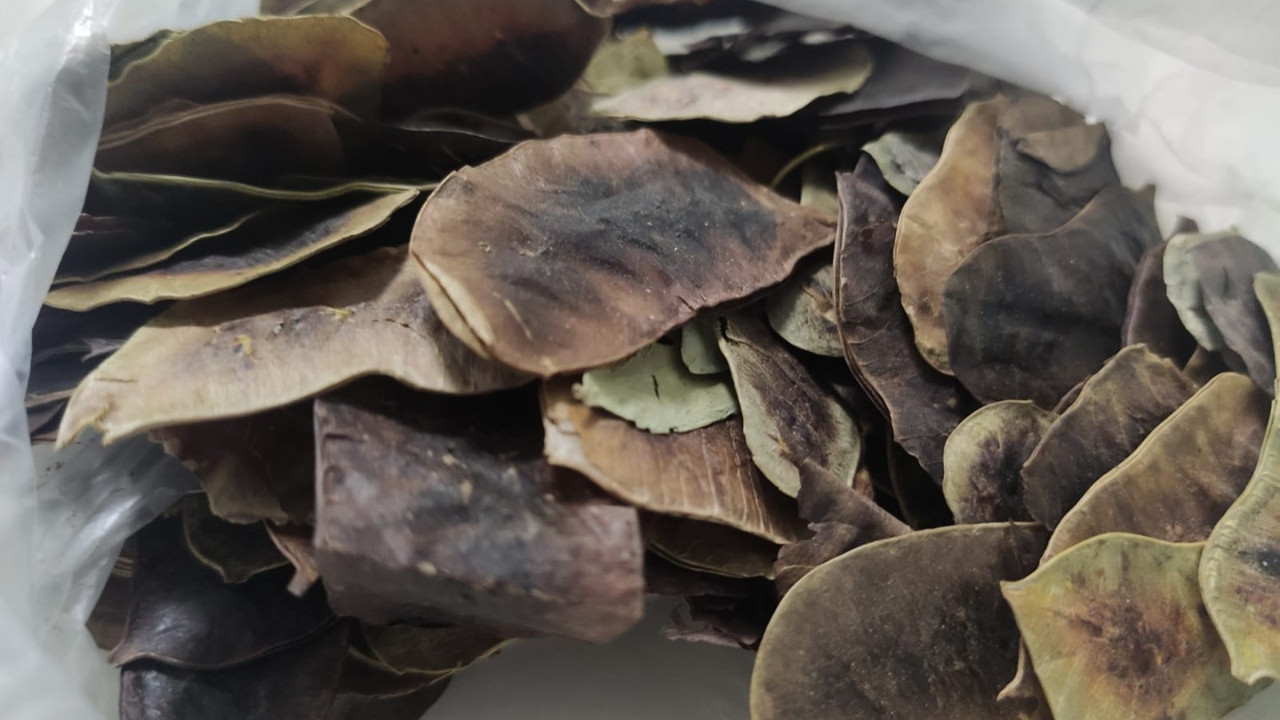 Zayıflamak için bu otu kullananlar dikkat