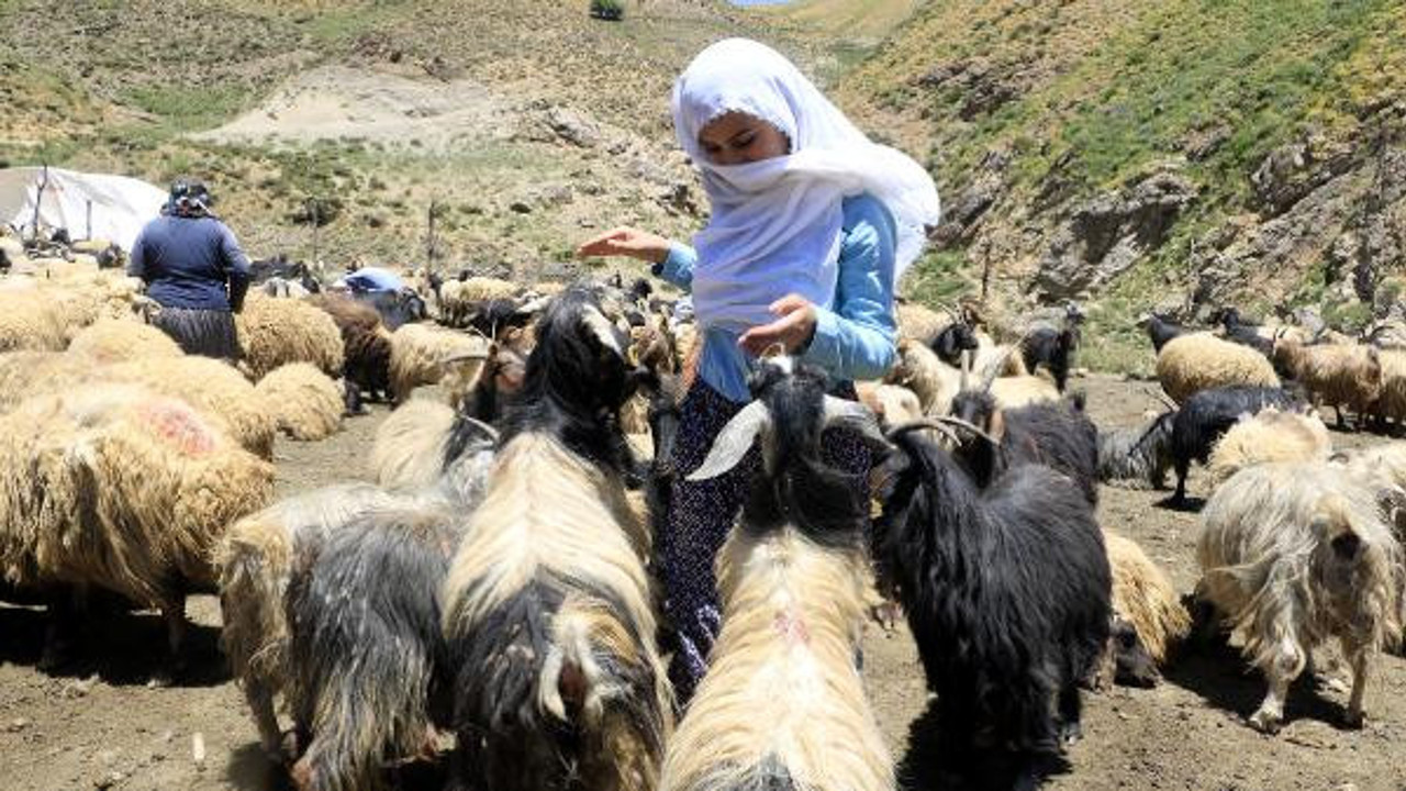 4 kadın devlet hibesi ile hayvancılığa başladı