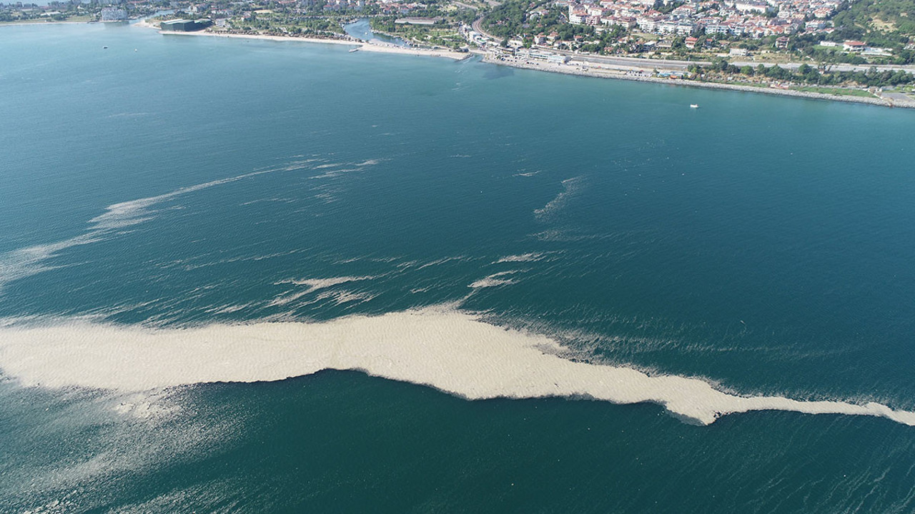 Salya’nın Küçükçekmece’de oluşturduğu görüntü dikkat çekti