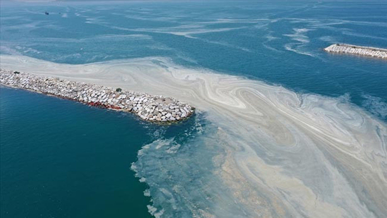 Müsilaj için Meclis Araştırma Komisyonu kuruldu