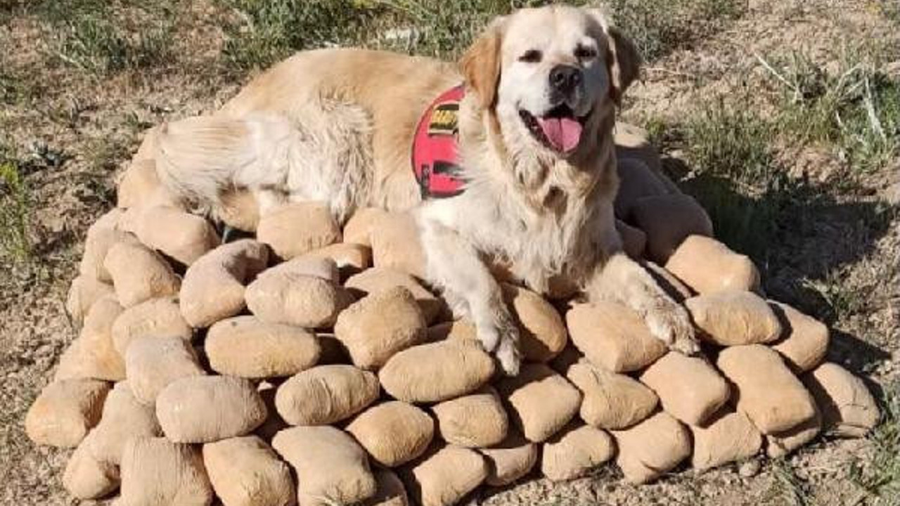 Çuvallarla toprağa gömülü 233 kilo eroini Barut buldu