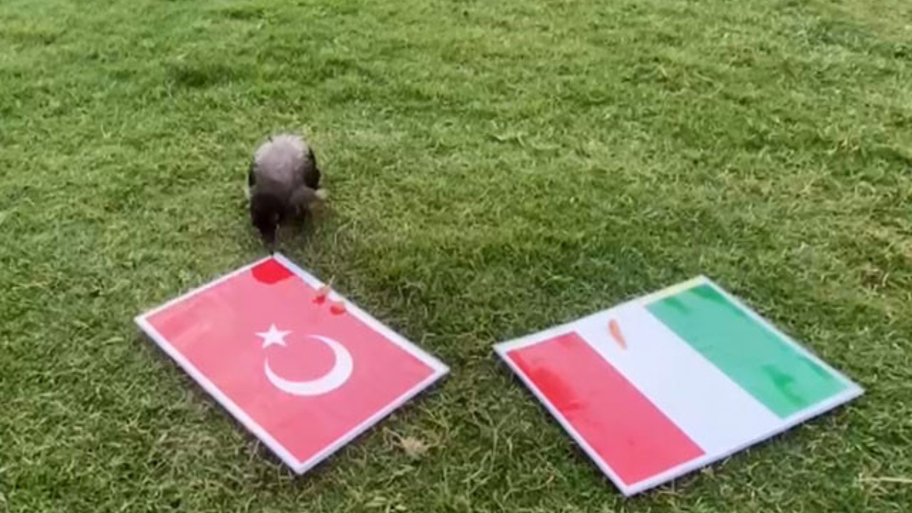 Karga Dido nereden bilebilirdi Şenol Hoca'nın böyle oynatacağını