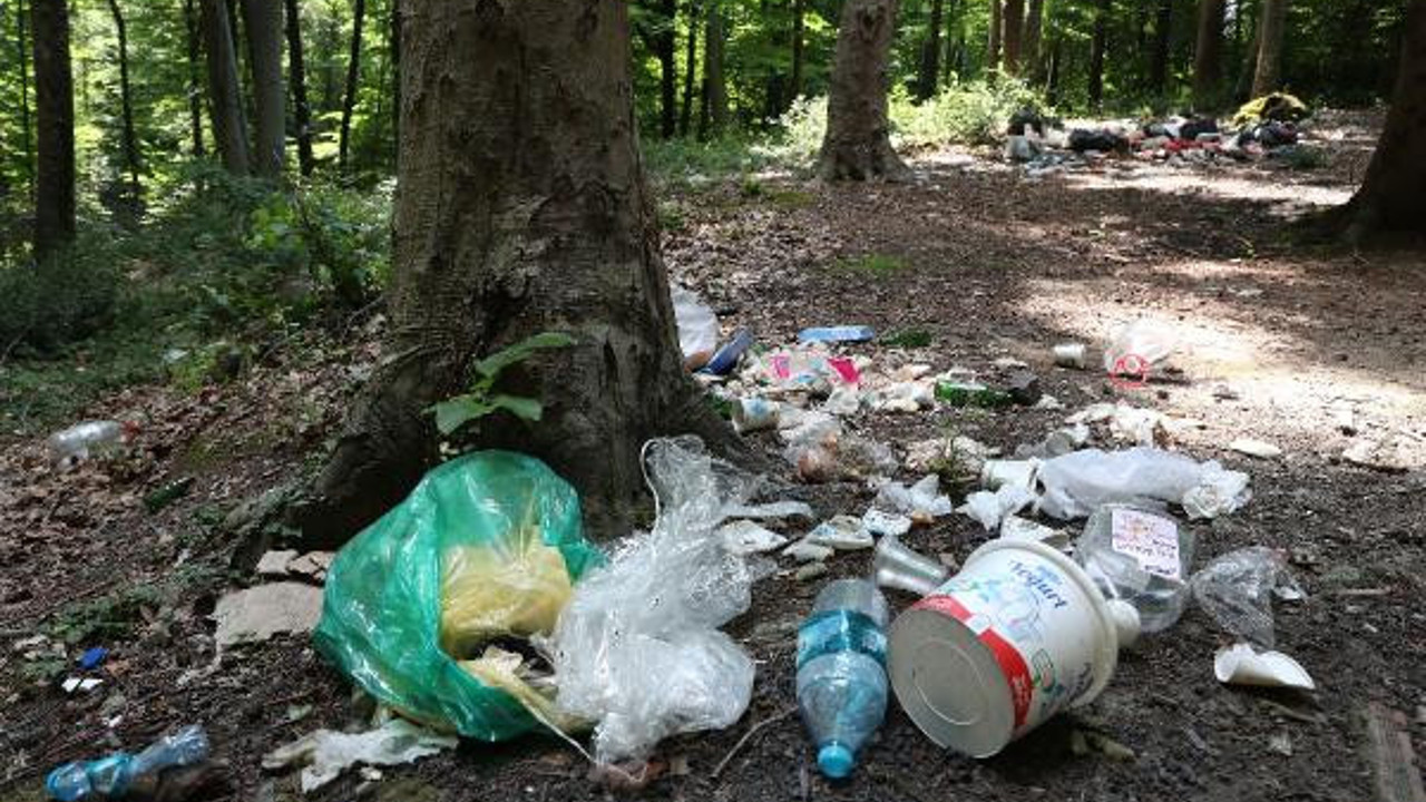 Yediler içtiler çöplüğe çevirdiler. Utandıran manzara