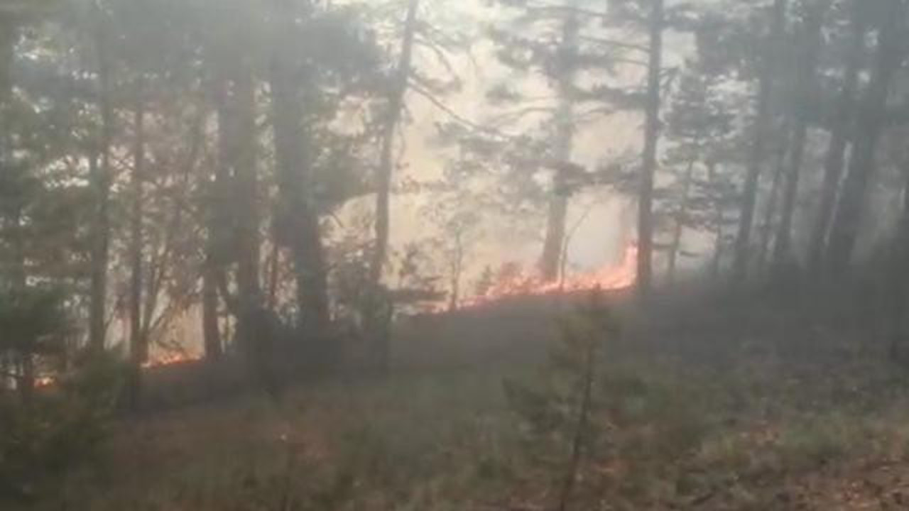 Kars'ta çıkan örtü yangınına ekiplerin müdahalesi sürüyor