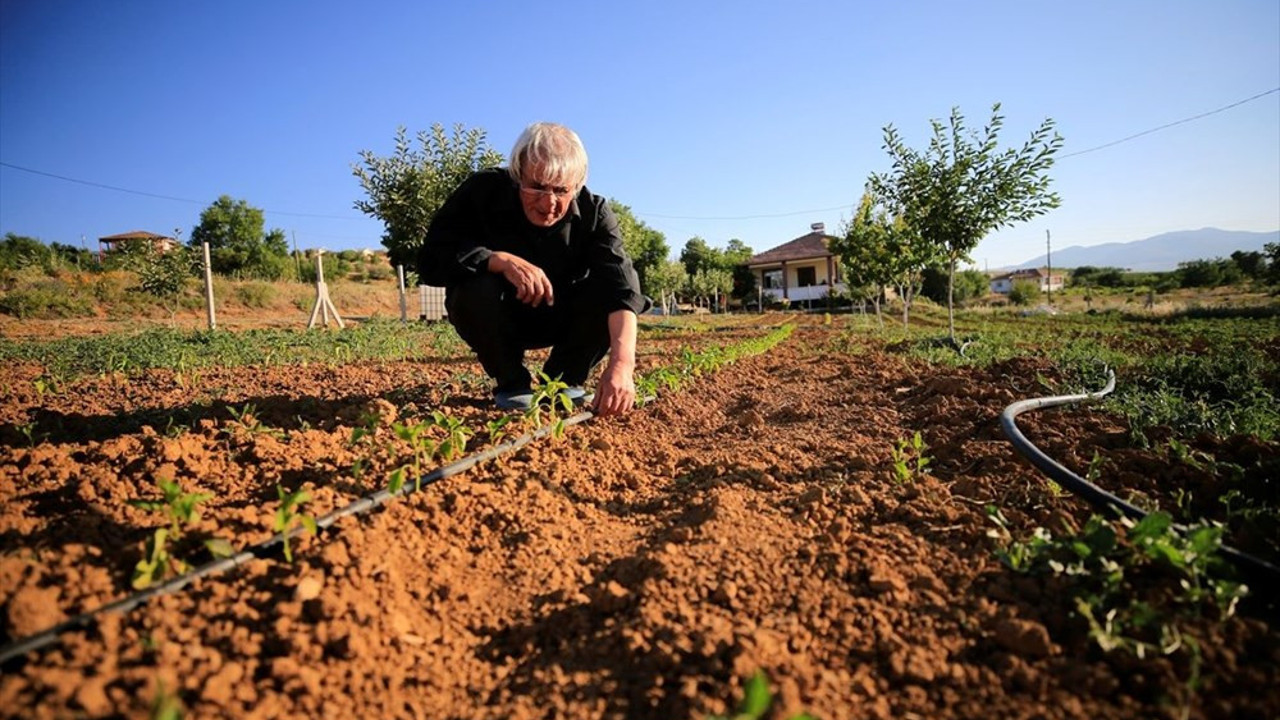 Elazığ'da 67 yaşındaki Zeki Gür, 33 yıl önce kazandığı üniversiteden mezun oldu.