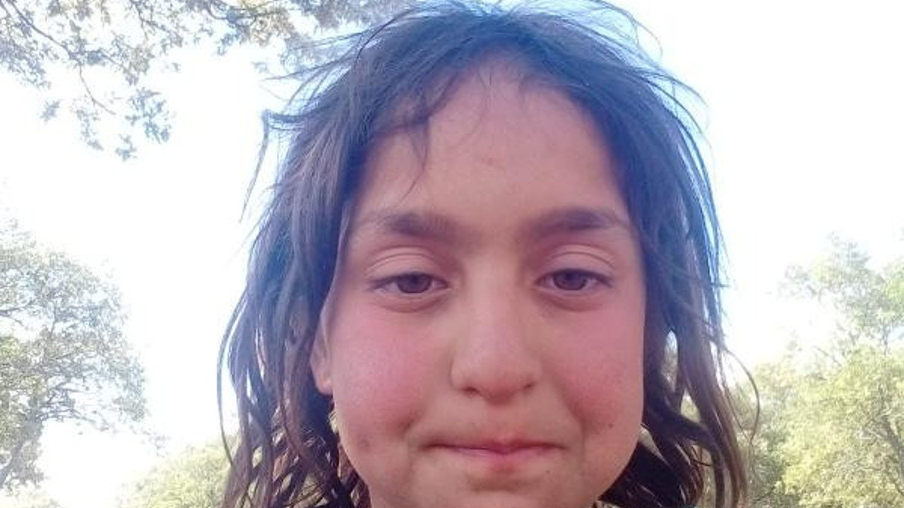 Yaylada kaybolan 11 yaşındaki Kıymet'ten haber alınamıyor