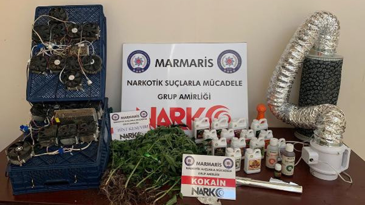 Evine ısı sistemi kurup Hint keneviri yetiştirdi