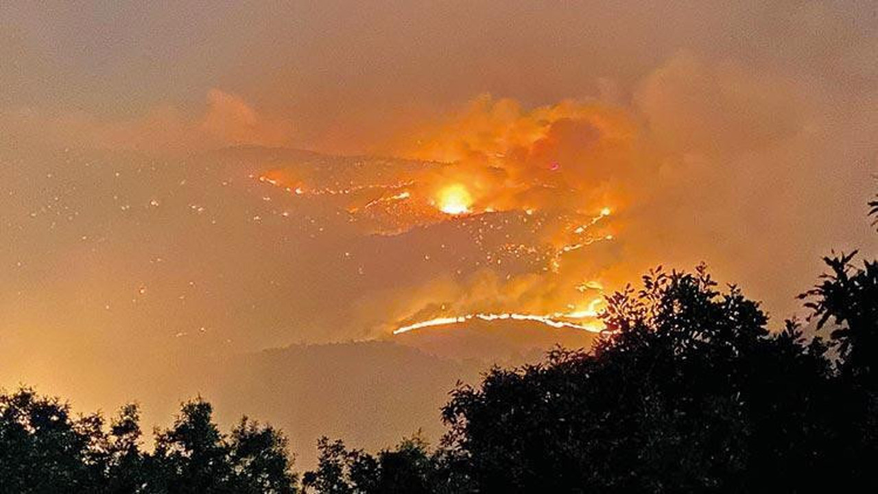 Bingöl'de 3 gün önce çıkan orman yangını devam ediyor