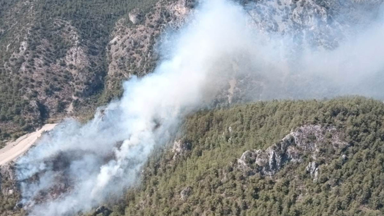 Muğla'da orman yangını