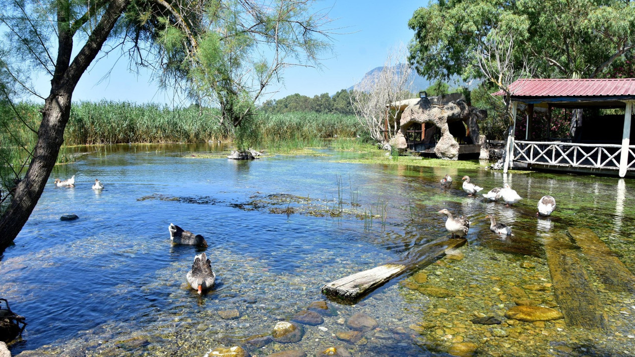 NASA Vay be. Güzelliğini yaşayın diyerek paylaşmıştı. Türkiye'nin cenneti insan girişine kapatıldı