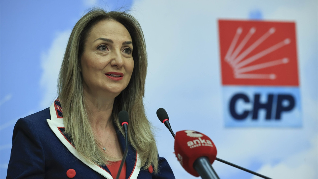 CHP'li Aylin Nazlıaka'dan İstanbul Sözleşmesi tepkisi