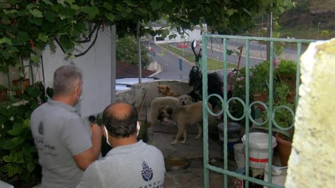Kurdukları kamera sistemi polisi bile şaşırttı