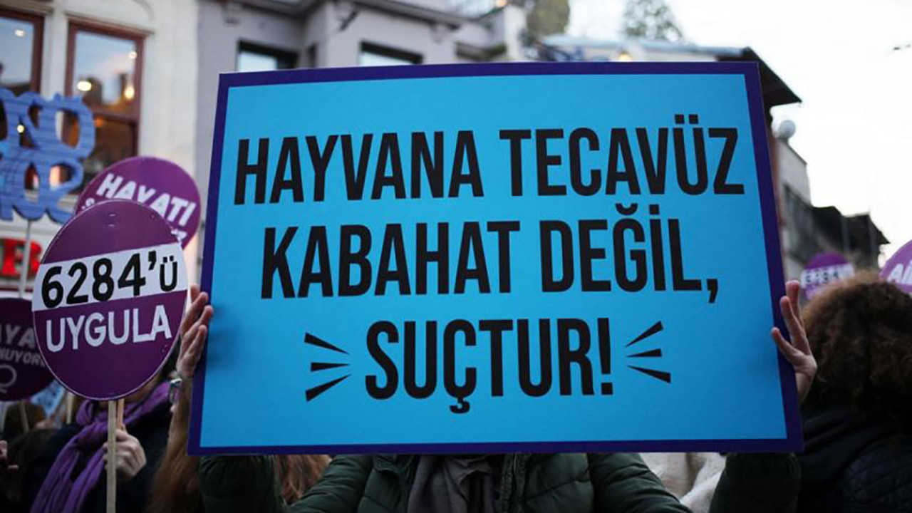 'Hayvanları Koruma Kanunu' teklifine 'cinsel ilişki' düzenlemesi