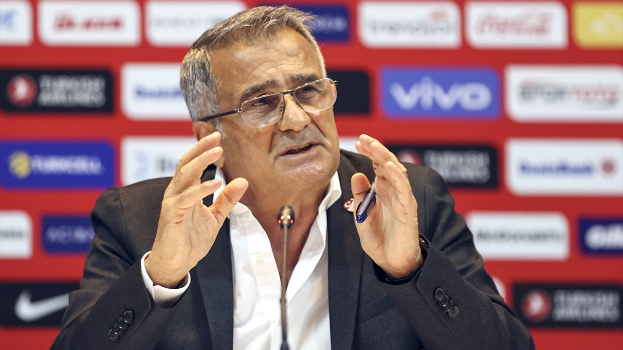 Şenol Güneş: Euro 2020'de ezildik